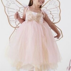 Pottery Barn Pink Fairy Dress with Wings